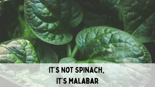 Fresh Malabar spinach used in Asian soup