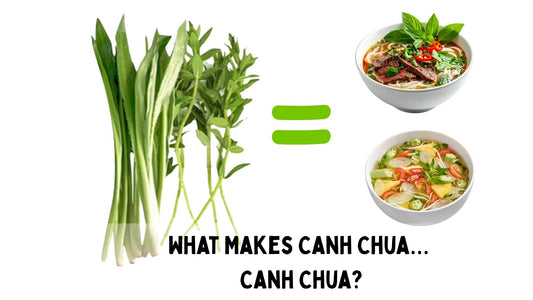 culantro and rice paddy herb Fresh herbs used in authentic Vietnamese Pho and Canh Chua soup