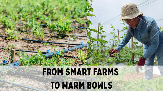 farmer pplanting crops on the right and crops with hydroponics on the left